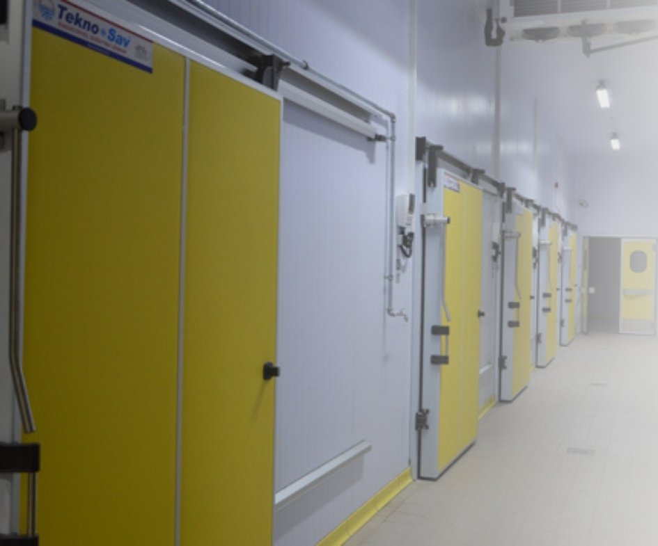 Monoray Tip Kapılar